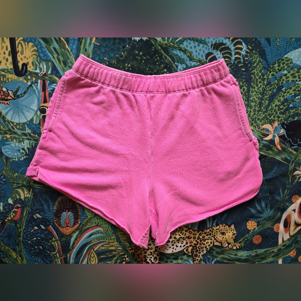 Aerie Lounge Shorts